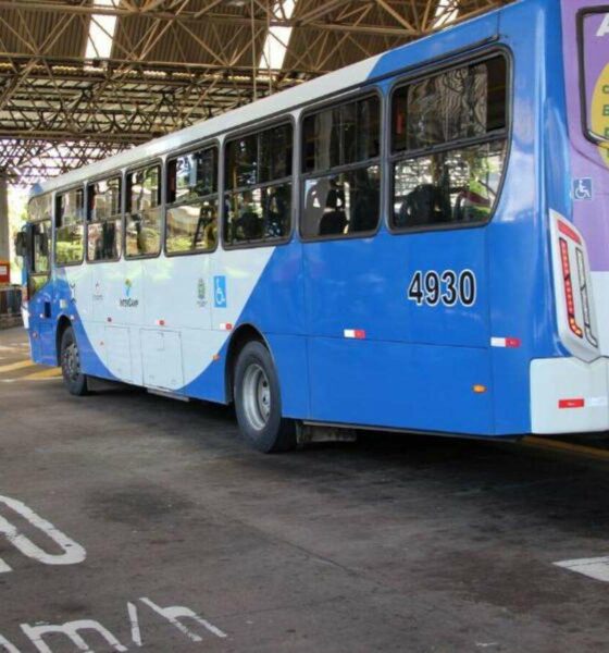 Onibus - transporte publico