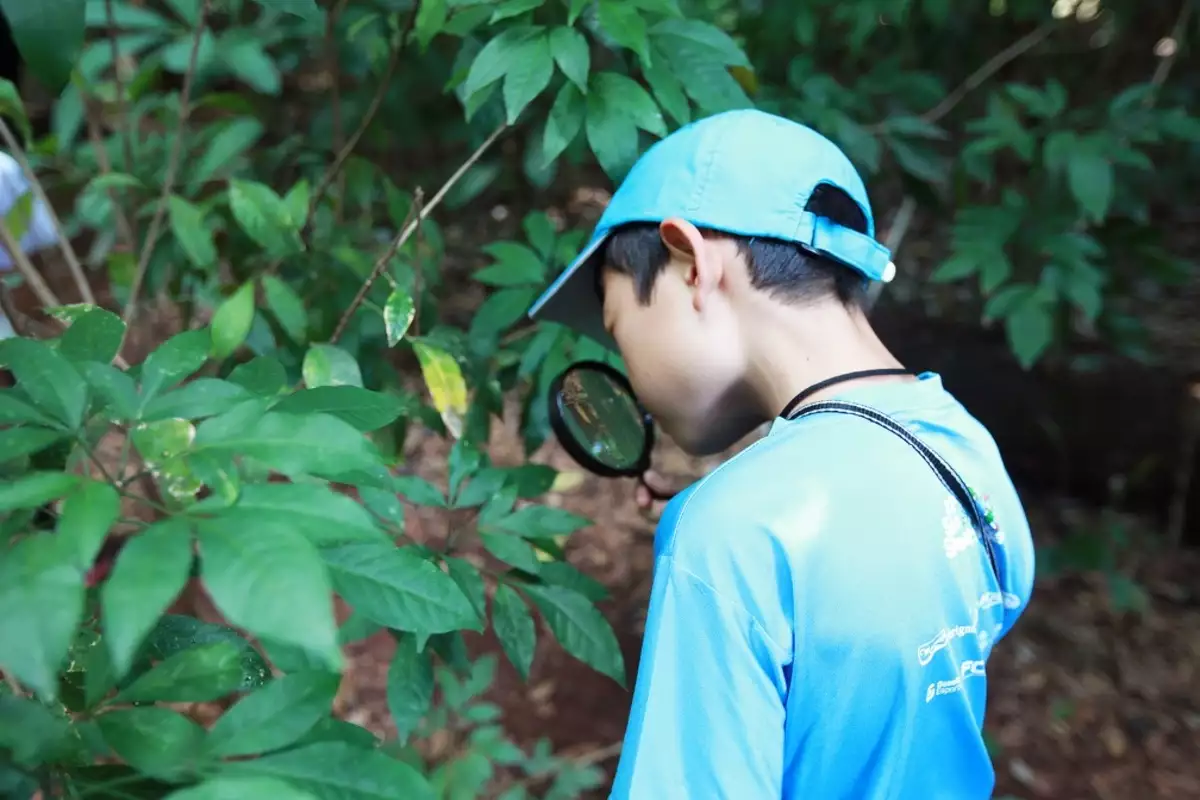 Ecoférias na Mata de Santa Genebra