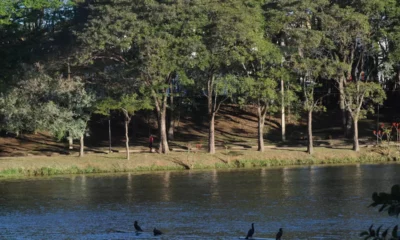 Parques e bosques continuam fechados até o dia 3 de fevereiro