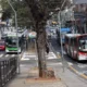 Linhas de ônibus terão reforço em terminais para atender foliões