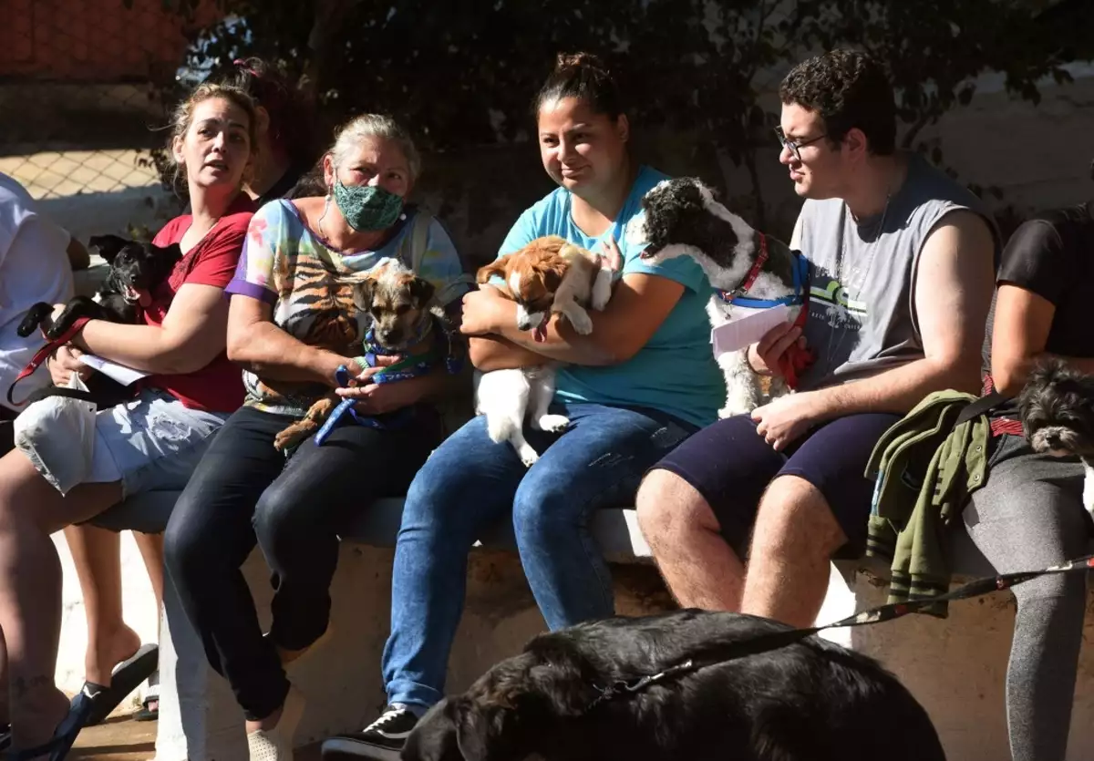 Clínica Veterinária Móvel prorroga estadia no Campo Belo até 23 de março