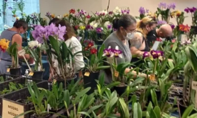 Estação Cultura terá Feira de Orquídeas e Suculentas de 10 a 12 de março