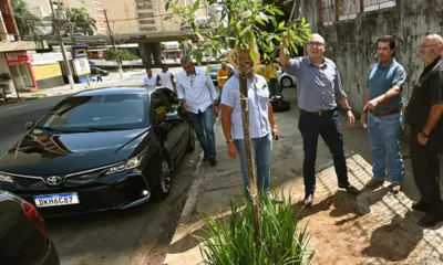 Prefeitura inicia plantio de uma centena de mudas na região central