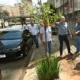 Prefeitura inicia plantio de uma centena de mudas na região central