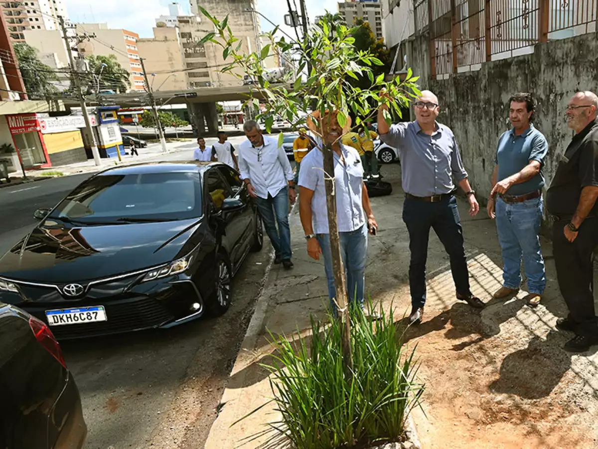 Prefeitura inicia plantio de uma centena de mudas na região central