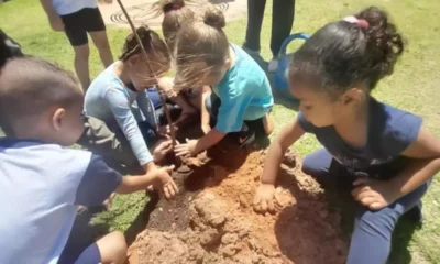 Mata de Santa Genebra comemora Dia da Terra com atividades gratuitas