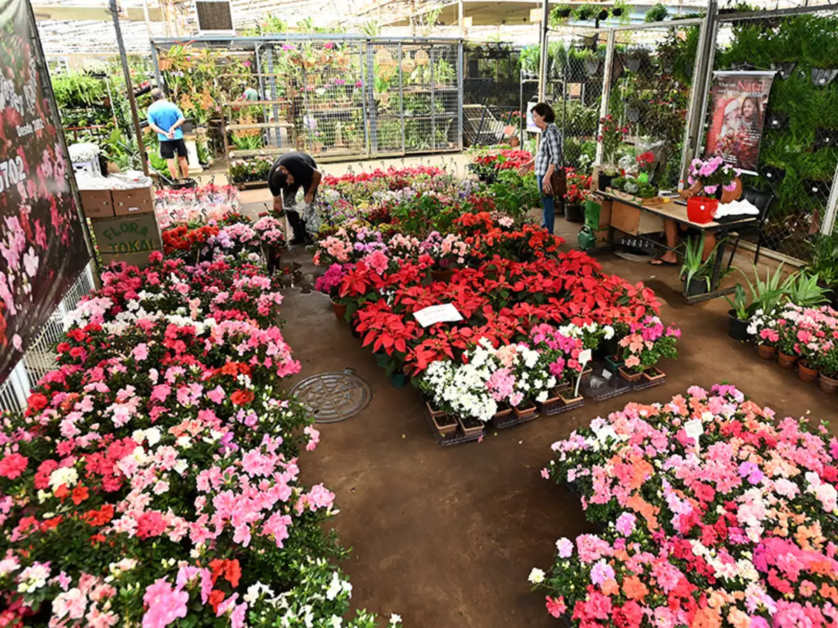 Ceasa realiza sorteios e atividades no Mercado de Flores neste sábado, 13