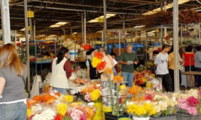 Dia das Mães movimenta o Mercado de Flores e Plantas Ornamentais da Ceasa