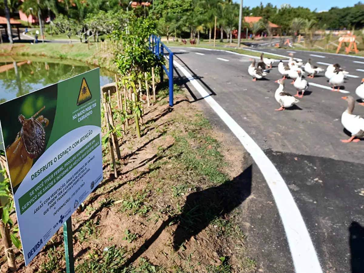 Câmara aprova sinalização obrigatória de risco de febre maculosa em locais privados