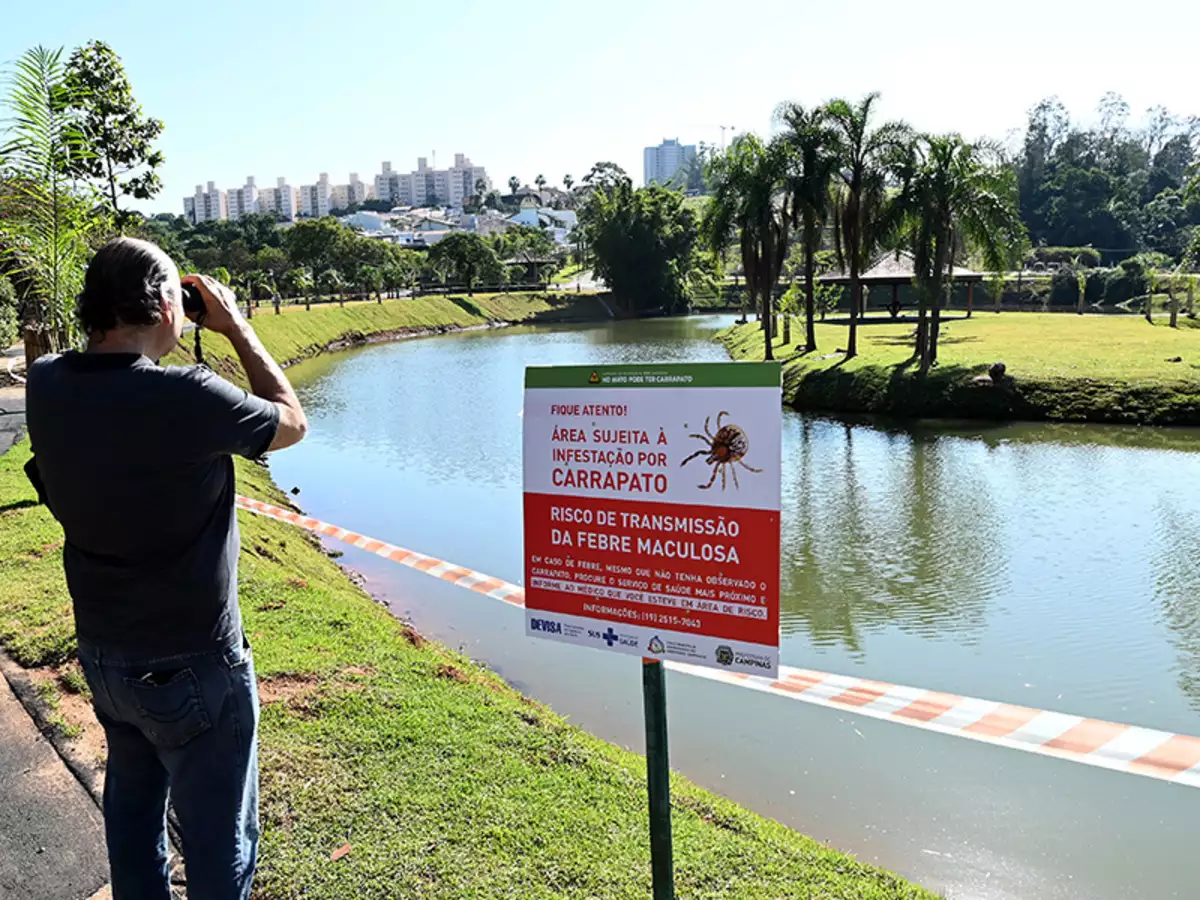 Censo de capivaras em parques de Campinas levantará quantidade e perfil dos animais