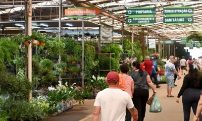 Dia dos Namorados deve aquecer Mercado de Flores e Plantas Ornamentais