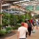 Dia dos Namorados deve aquecer Mercado de Flores e Plantas Ornamentais