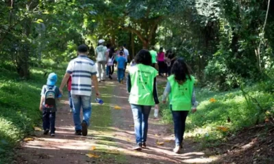 Mata de Santa Genebra abre inscrição para programa de voluntariado de férias