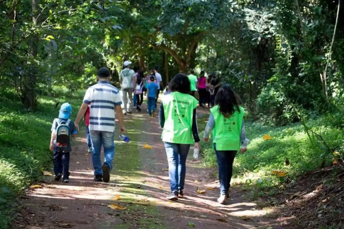 Mata de Santa Genebra abre inscrição para programa de voluntariado de férias