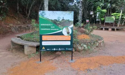 Placas e totens informativos sobre febre maculosa são instalados