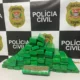 Polícia apreende 50 kg de maconha e prende suspeito